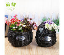 探索花卉的世界 从传统园艺到现代生活美学